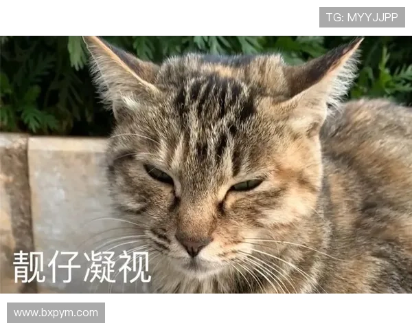 闄囧師绔炴妧钁d簨闀垮洖搴旀媴蹇э細缁濋潪鏄欒姳涓€鐜帮紝涓箼鍙戝睍濂戝悎闀胯繙瑙勫垝